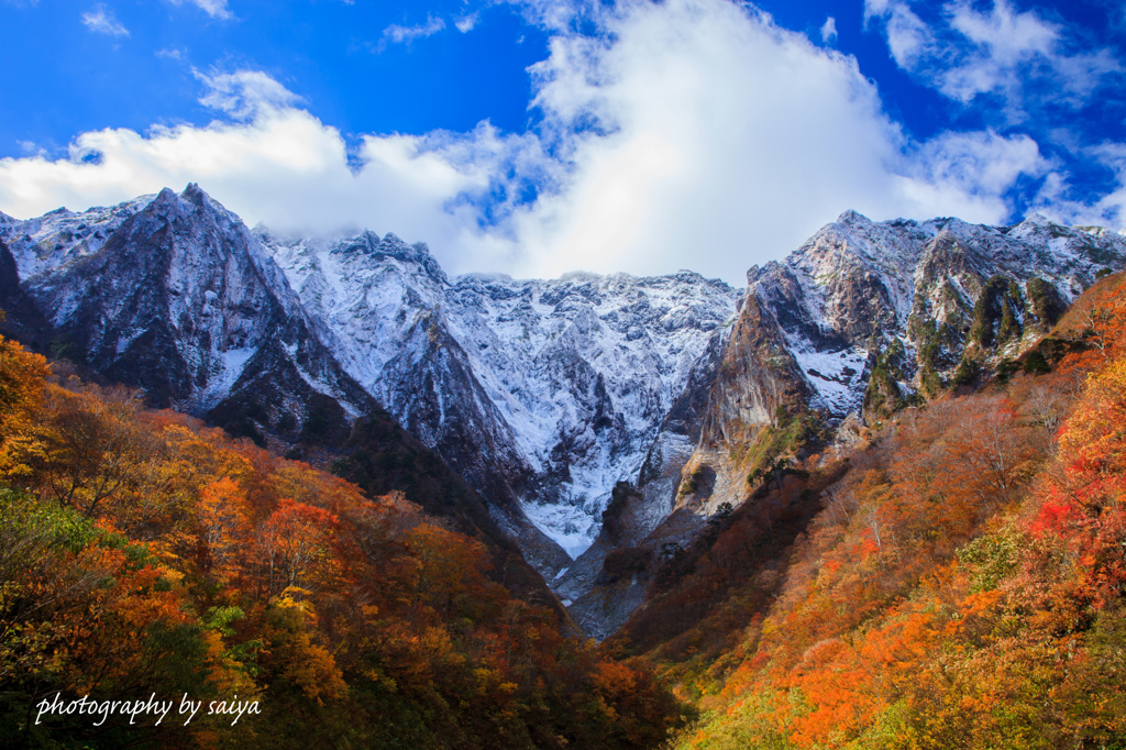憧れの三段紅葉