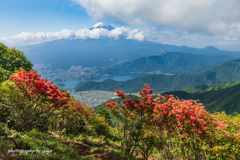 紅色の峠