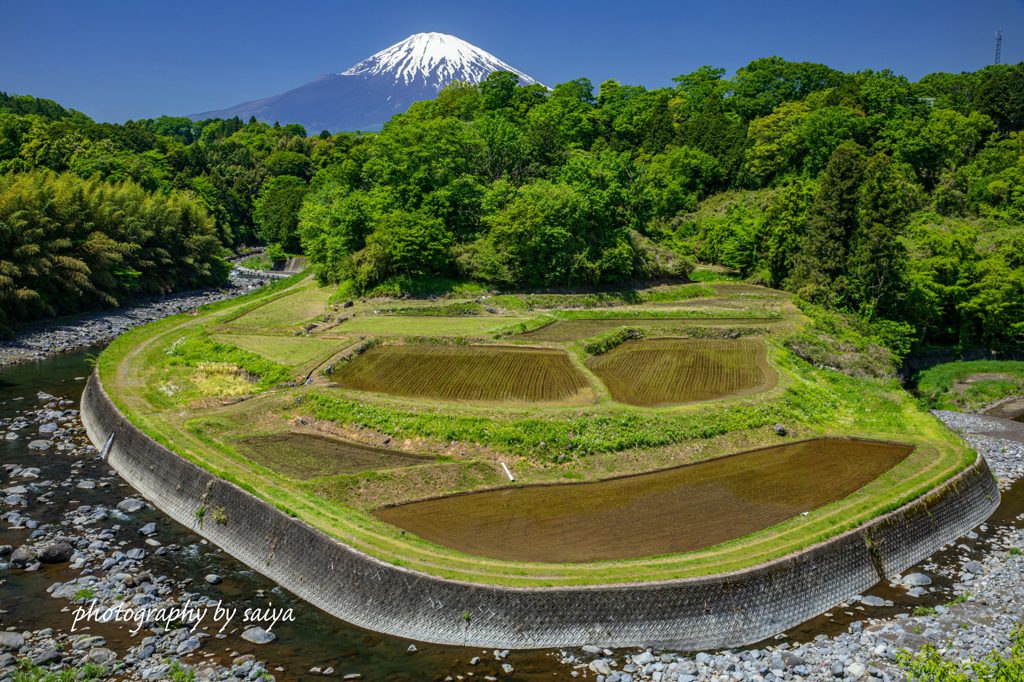 箱庭田園