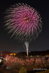 夜梅祭 偕楽園歓迎花火2021