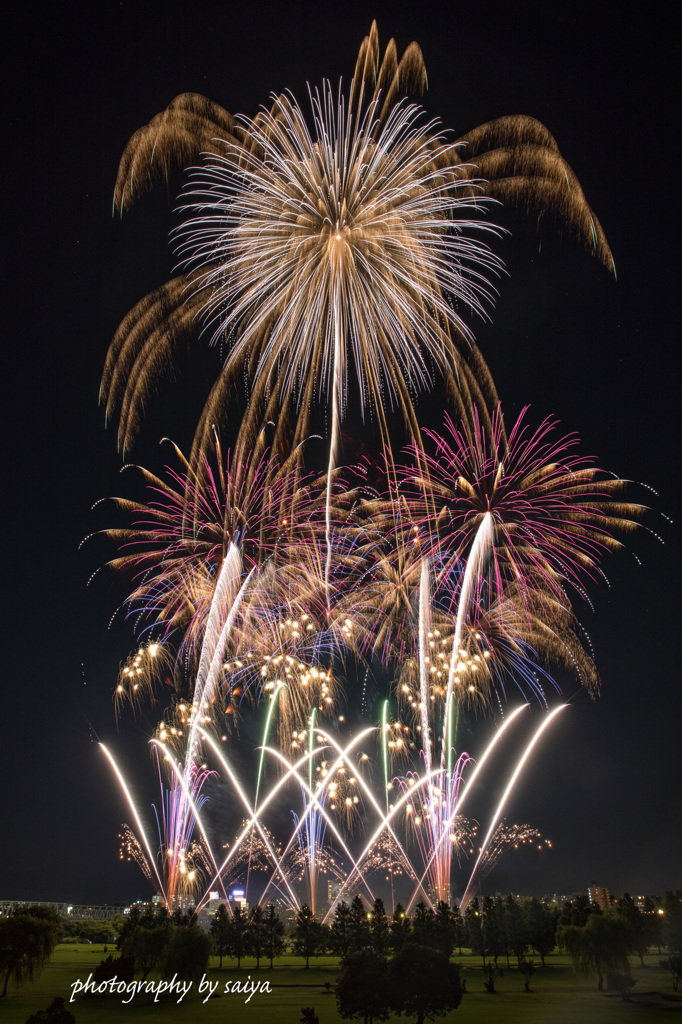 とりで利根川花火2019-1