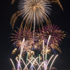 とりで利根川花火2019-1