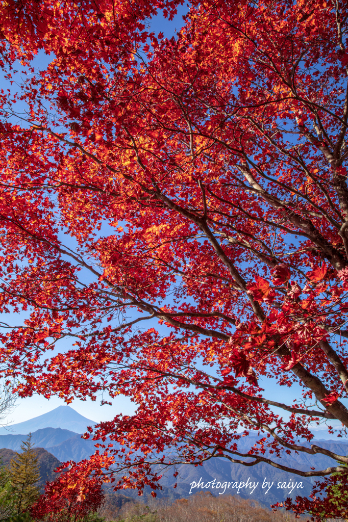 紅空