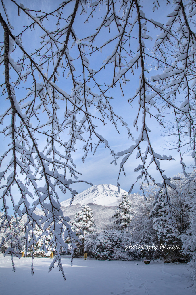 雪簾