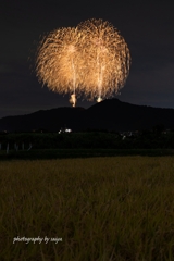 秦野たばこ祭メモリアル花火 2021