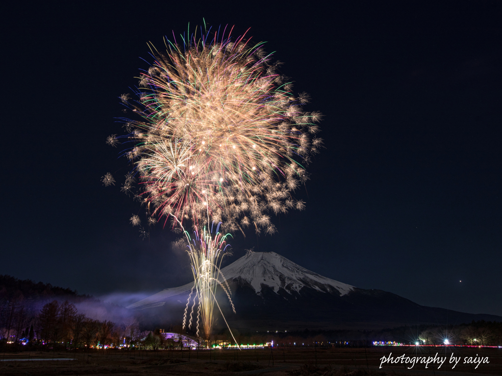 花の都公園冬花火2025 その２