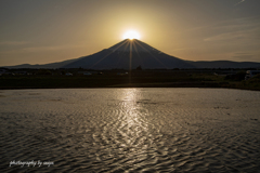 田園ダイヤ富士