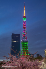 東京マラソン開催記念ライトアップ 2023