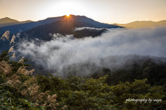 枝折峠の雲海3 枝折峠の雲海3