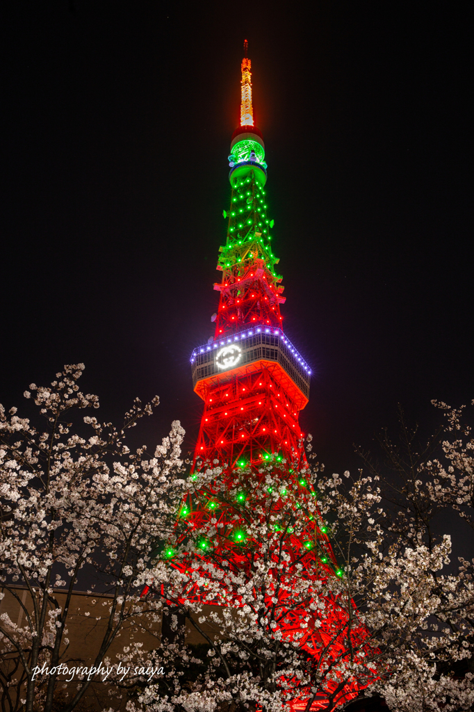 GUCCI HANAMI　グッチブランドカラーVer