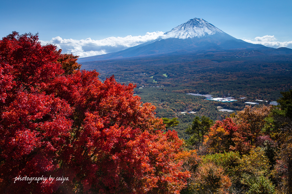 赤紅に燃ゆ