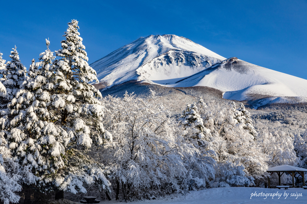 平成最後の雪景色2