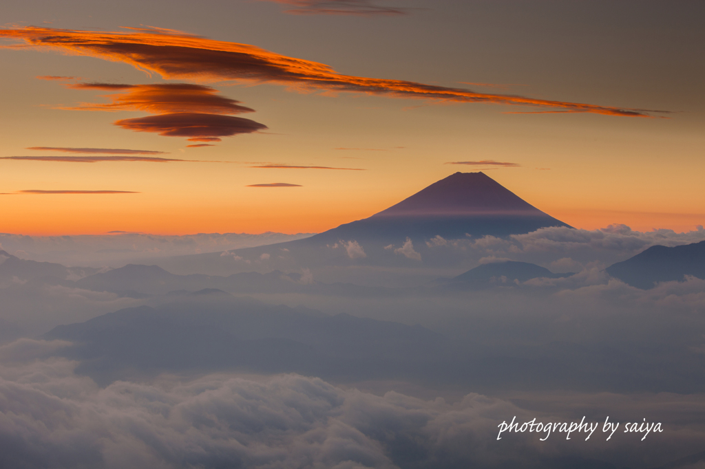 飛来するオレンジ