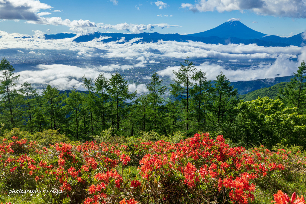 天空の花園2