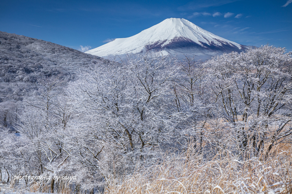 本年もありがとうございました
