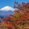 晩秋の頃
