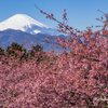 里山の春