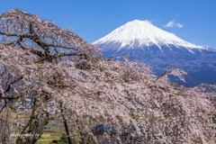 陽気に誘われて