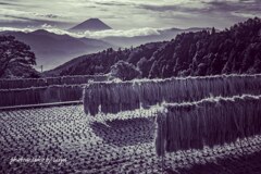 里山の秋 里山の秋