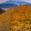 紅葉とビーナスベルト