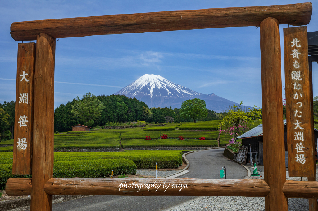 絵画のように