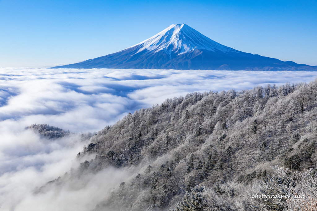 白染めの大海原