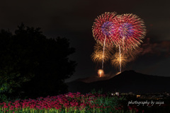 秦野たばこ祭花火2025 その２