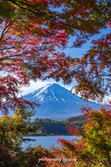 色彩に囲まれて