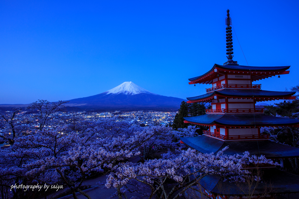 夜明けの蒼美