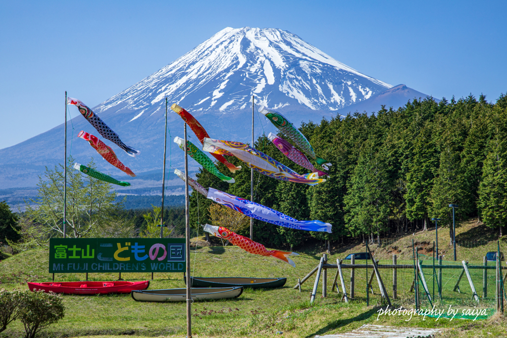 こどもの日