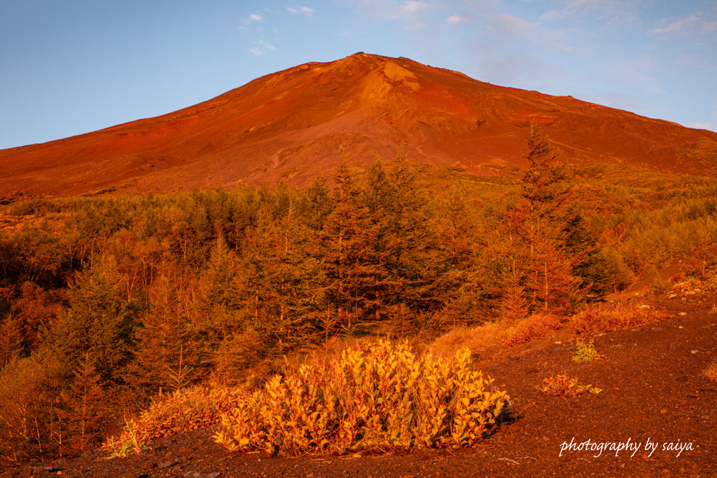 真紅の朝