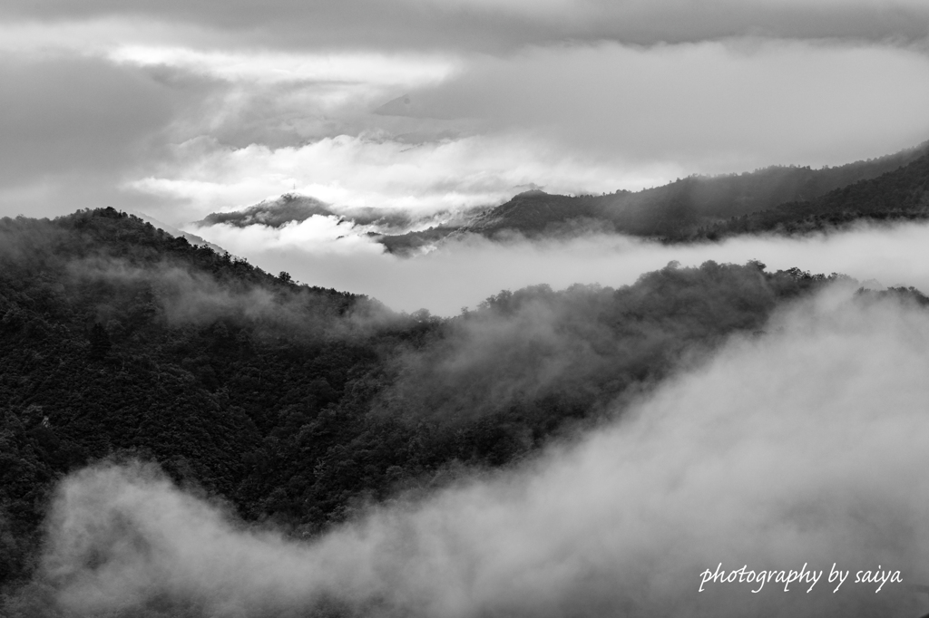 枝折峠の雲海2