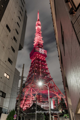 東京タワーKANREKI RED