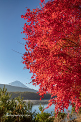 湖畔の紅