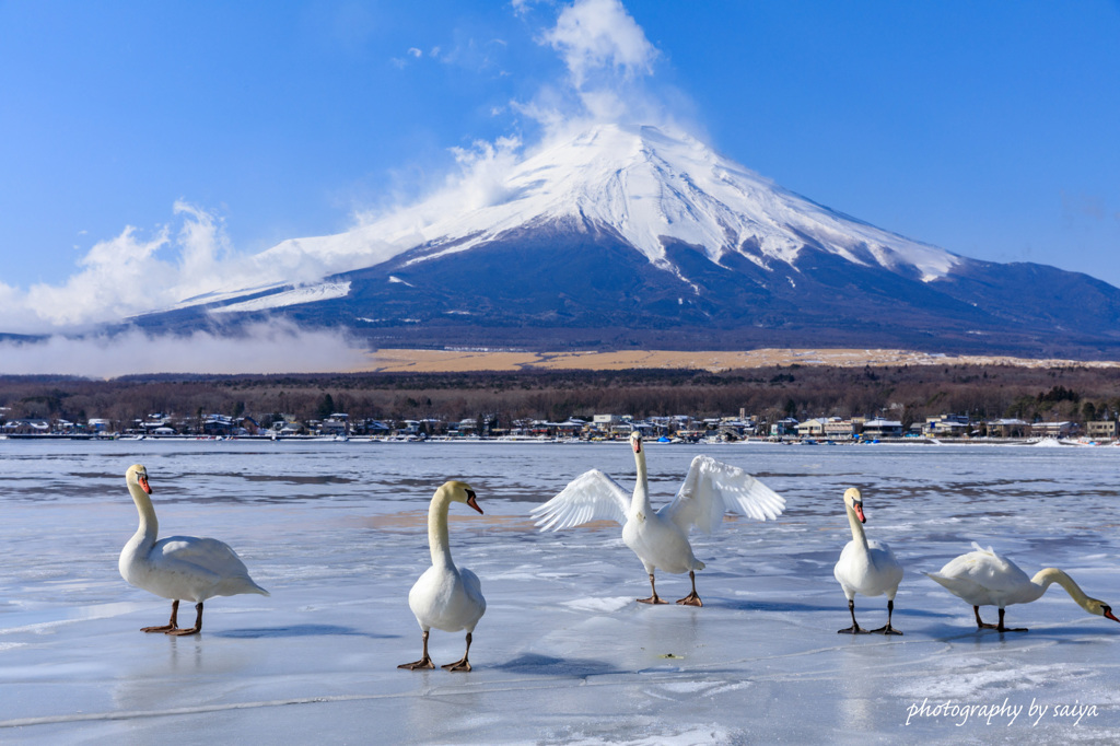 2019　明けましておめでとうございます