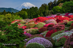 花園