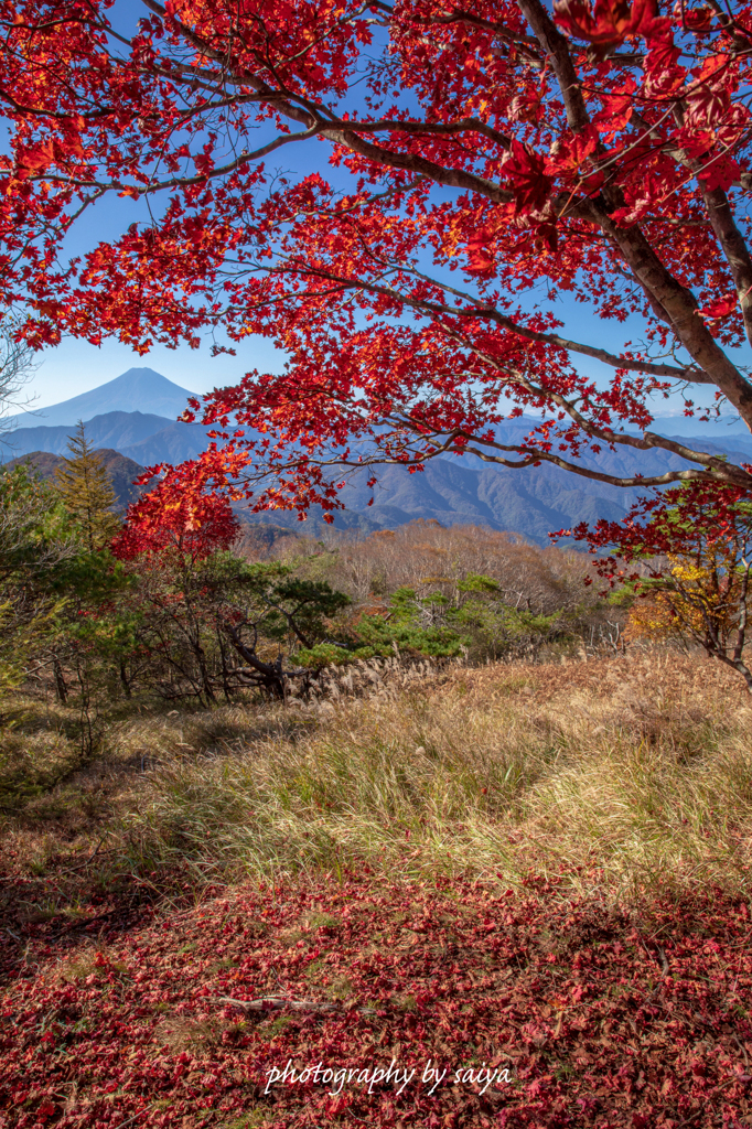 紅葉狩り