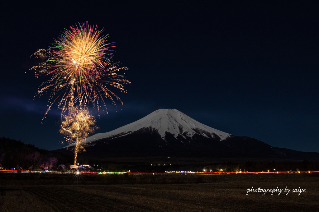 花の都公園冬花火 2021