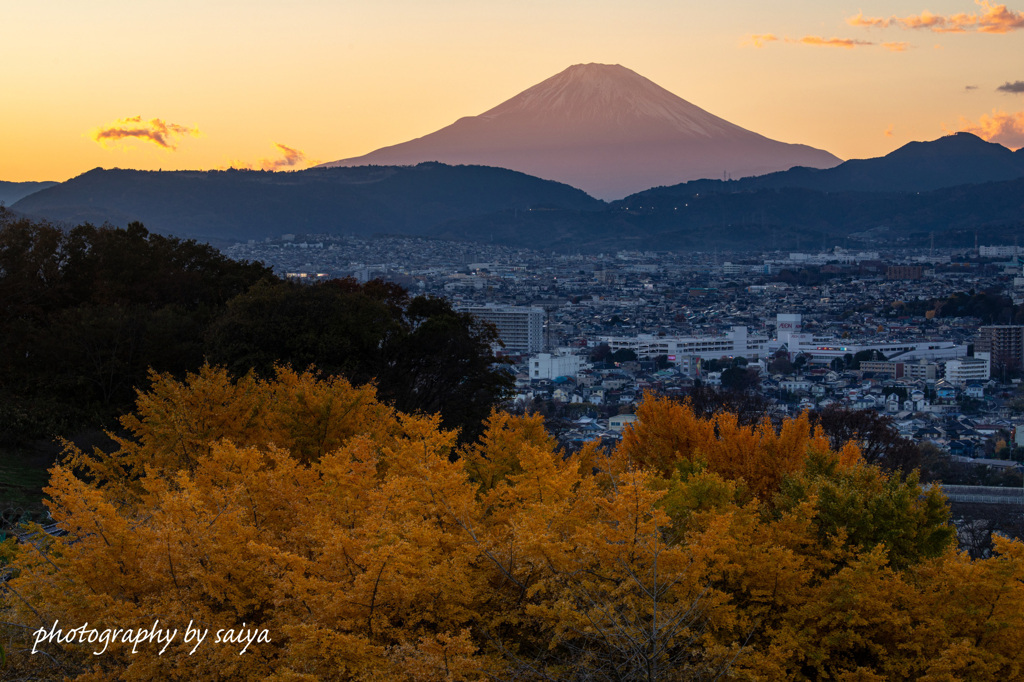 夕照に染まる