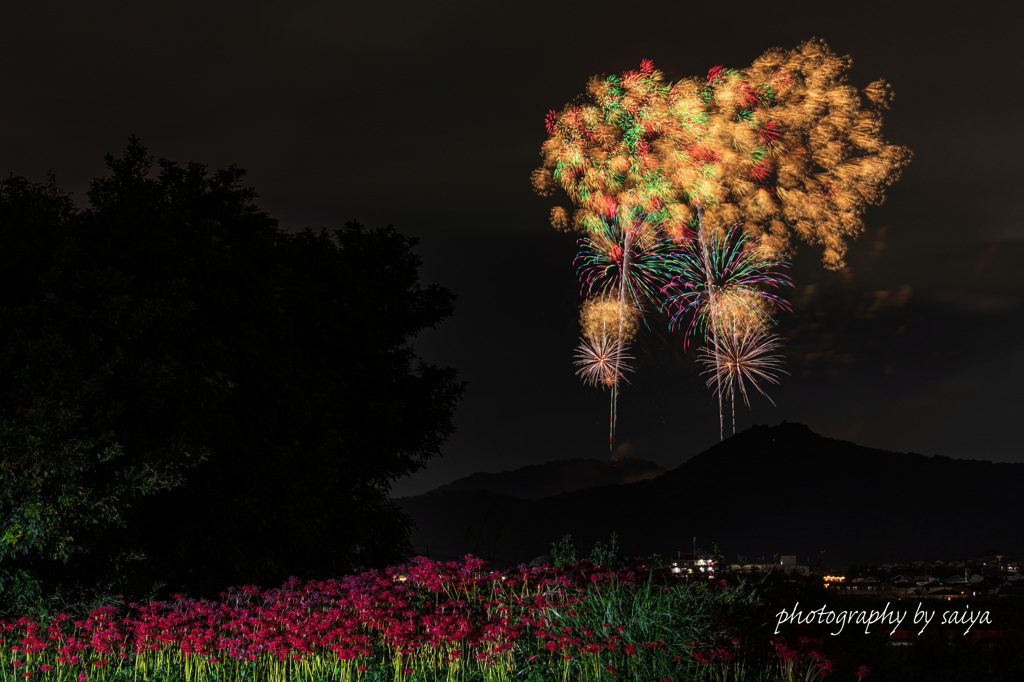 秦野たばこ祭花火2025 その３