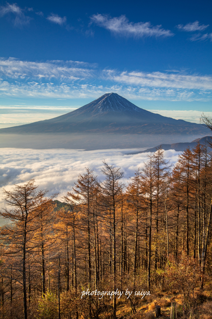 峠の紅葉散歩