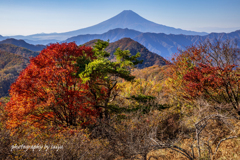 紅葉散歩 その２