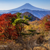 紅葉散歩 その２