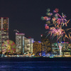 横浜ハンマーヘッド開業記念花火2019　その2