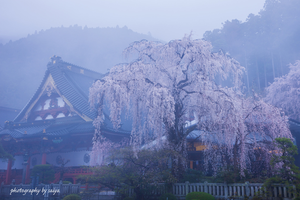 雨霧に包まれて