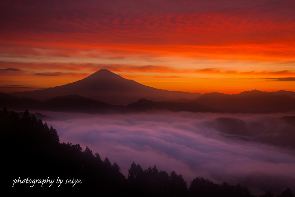 待ち焦がれた情景