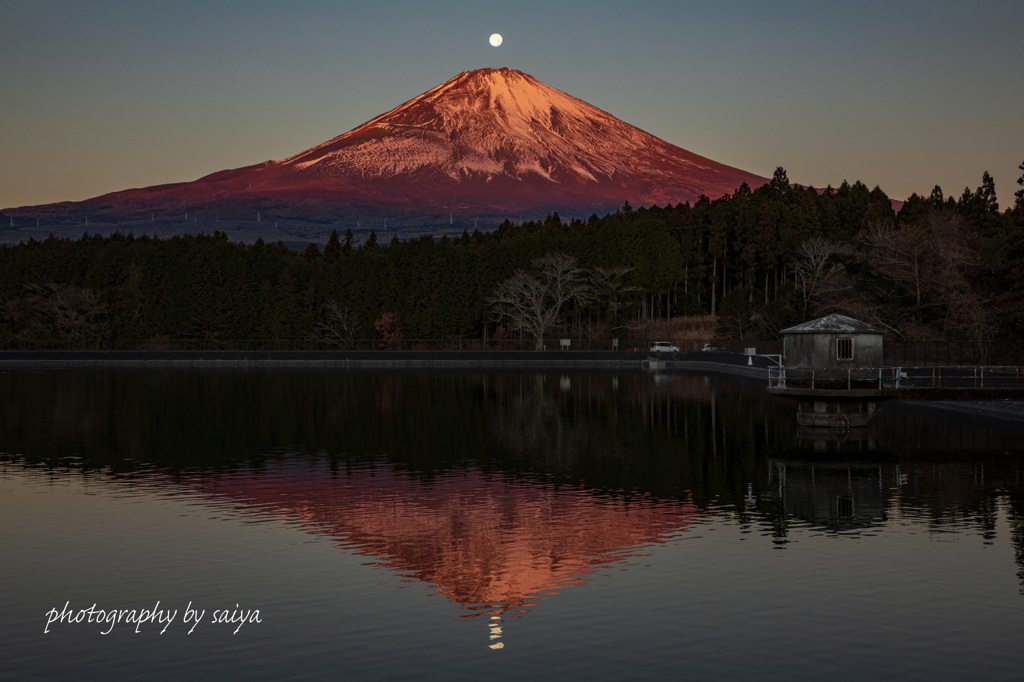 調整池パール富士
