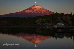 調整池パール富士