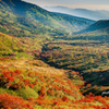 紅染まる大地