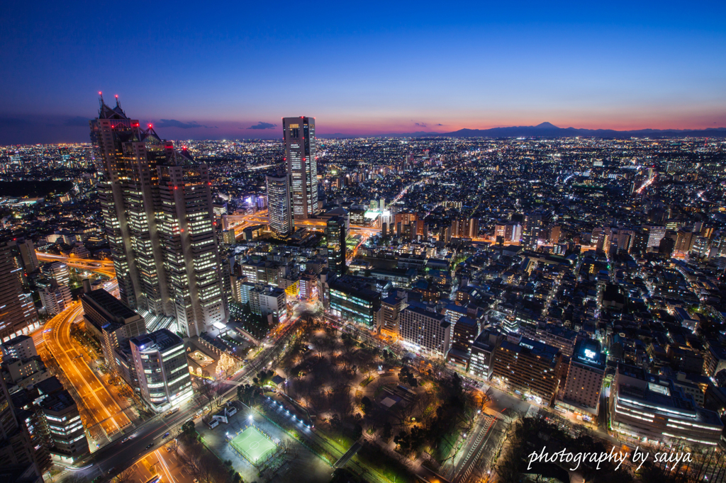 Shinjuku twilight